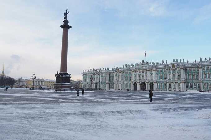 Раскрыто состояние пострадавших от наезда лошади на Дворцовой площади