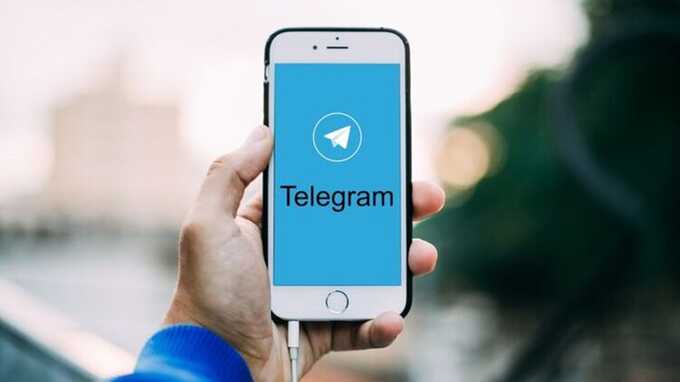 Сколько данных о пользователях Telegram раскрыл в третьем квартале 2024 года