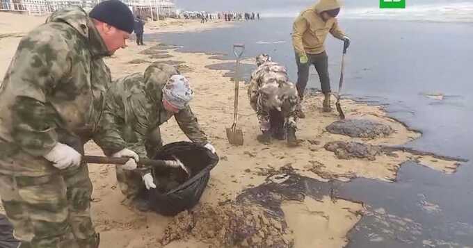 Власти Кубани закапывают мазут прямо на пляжах для экономии