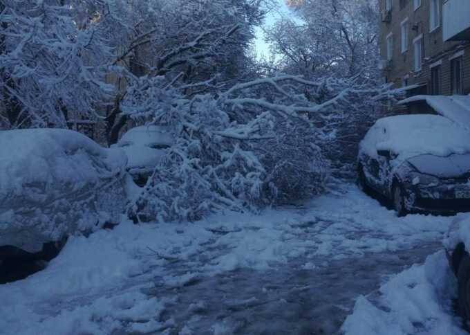 В Ростовской области 30 тысяч человек остались без света из-за снегопада