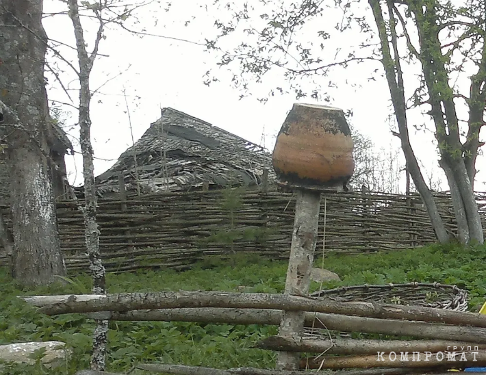 Дом в деревне Галки